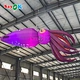Inflatable squid